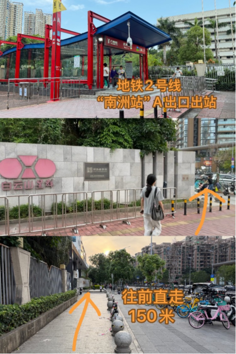 广州南洲校区路线指引