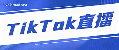 0基础如何系统学习TikTok直播带货?