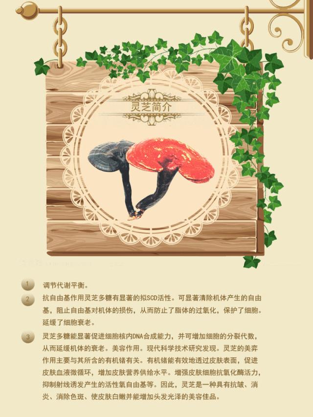 亲手教你打造提升销量的淘宝店铺装修