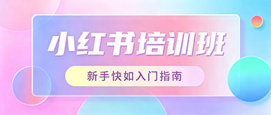 新手做本地小红书没流量，找小红书培训班真的能解决吗？