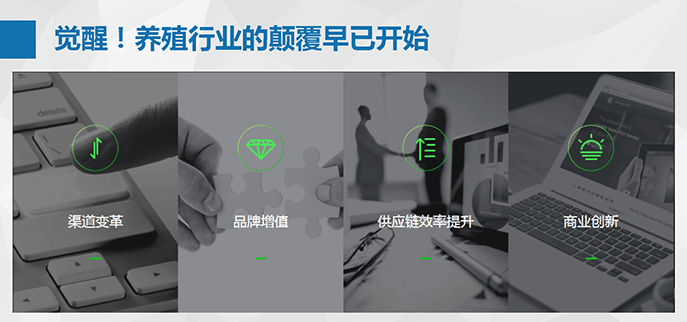 “养殖+互联网”开启养殖行业新思路、新起点的电商之路 - 美迪电商教育