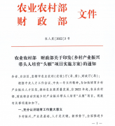 广西2023年乡村产业振兴带头人培育“头雁”项目