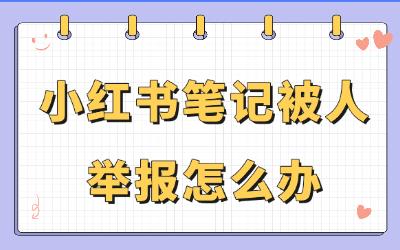 小红书笔记被人举报怎么办？这些方法帮助你轻松应对！