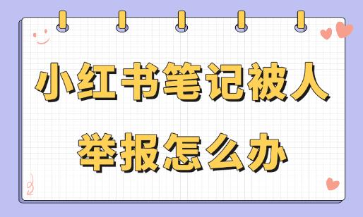小红书笔记被人举报怎么办？这些方法帮助你轻松应对！ - 美迪教育