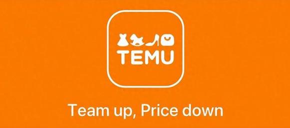 temu店铺怎么起名？temu店铺取名方法！ - 美迪教育