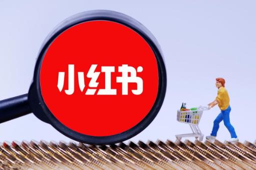 小红书笔记被抄袭如何投诉？维权详细步骤来了！ - 美迪教育