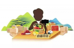 桥头镇三农产品电商直播实战训练营