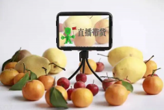 韶关市仁化县电商直播专业技能培训