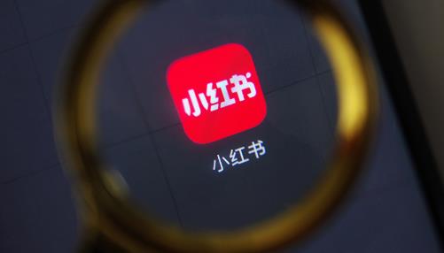 小红书账号怎么养号？关键步骤和技巧在这！ - 美迪教育