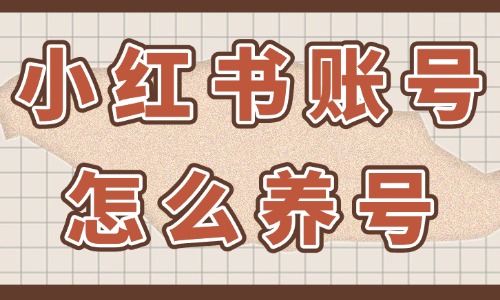 小红书账号怎么养号？关键步骤和技巧在这！ - 美迪教育