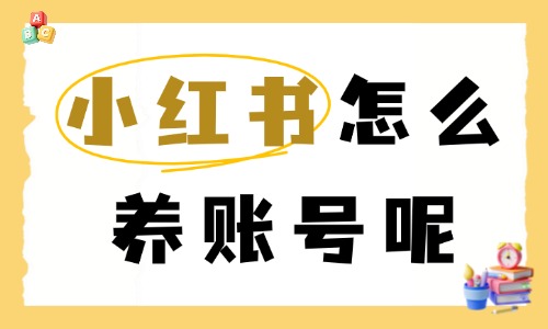 小红书怎么养账号?小红书账号养号全攻略 - 美迪电商教育