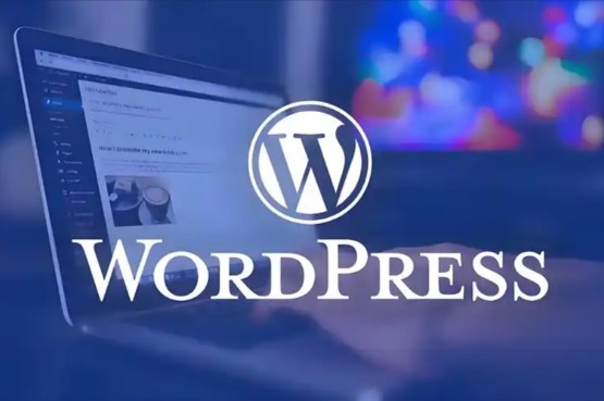 独立站用shopify还是wordpress?建站平台对比分析 - 美迪电商教育