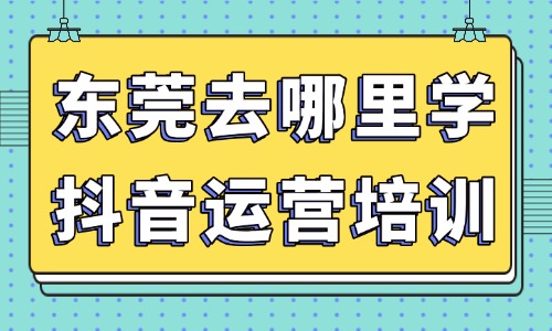 东莞去哪里学抖音运营培训?线下实操班挑选指南 - 美迪电商教育