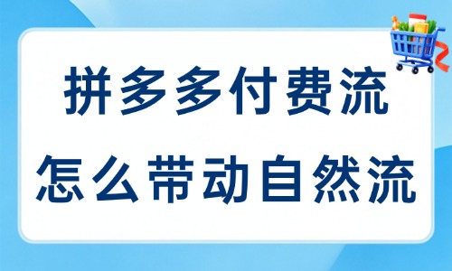 拼多多付费流量怎么带动自然流量?实用方法大揭秘! - 美迪电商教育