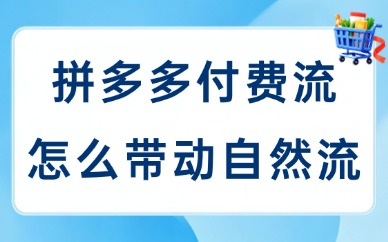 拼多多付费流量怎么带动自然流量？实用方法大揭秘！