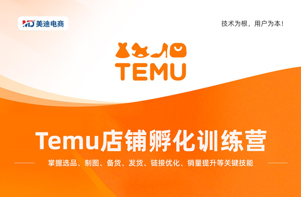 Temu孵化训练营